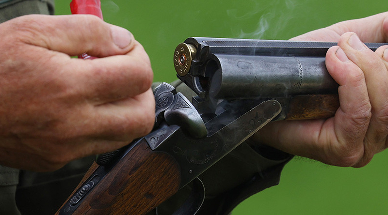 Осень – пора традиционных охот. Сроки, правила, нарушения