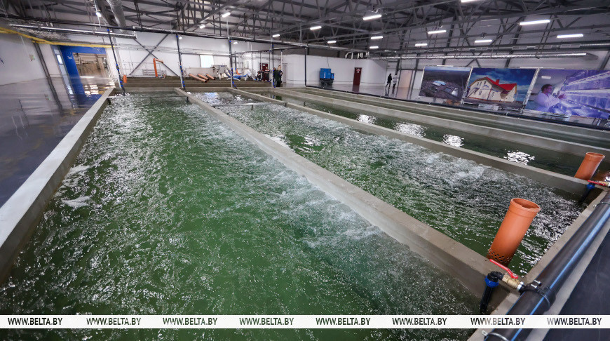 Александр Лукашенко совершает рабочую поездку в Могилевскую область