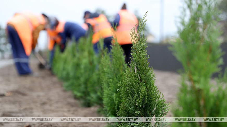 Смотр-конкурс на лучшее благоустройство водного объекта объявили в Беларуси