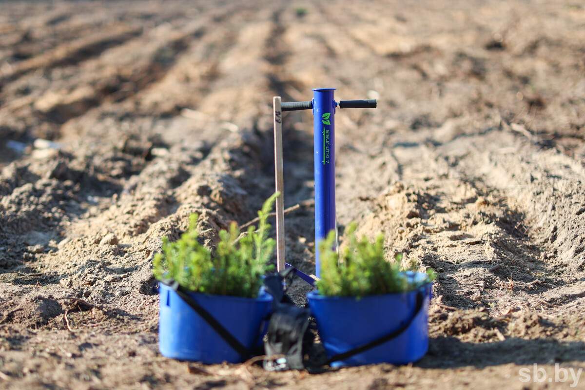 На Могилевщине актив БРСМ присоединится к республиканской экологической акции «Лес! Дабро! Парадак!»