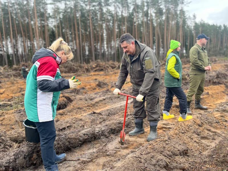 Руководители структурных подразделений Могилевского облисполкома приняли участие в республиканском субботнике