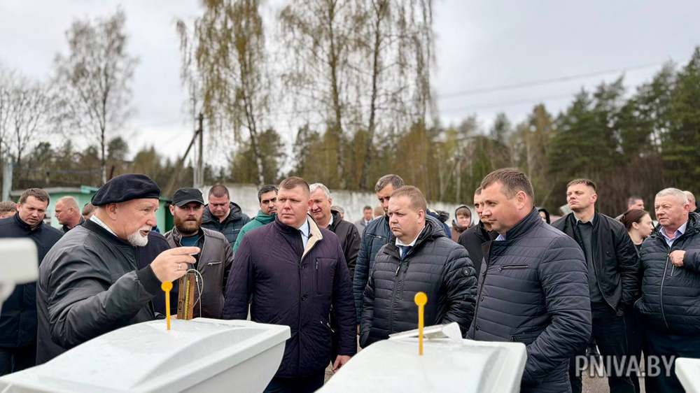 На базе филиала «Вендорож» РУП «Могилевэнерго» состоялся областной семинар-учеба. Узнали подробности