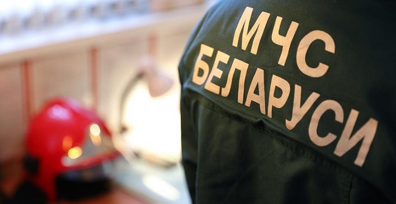 «Зеленый щит»: в Могилевском районе пройдет специальное профилактическое мероприятие против пожаров
