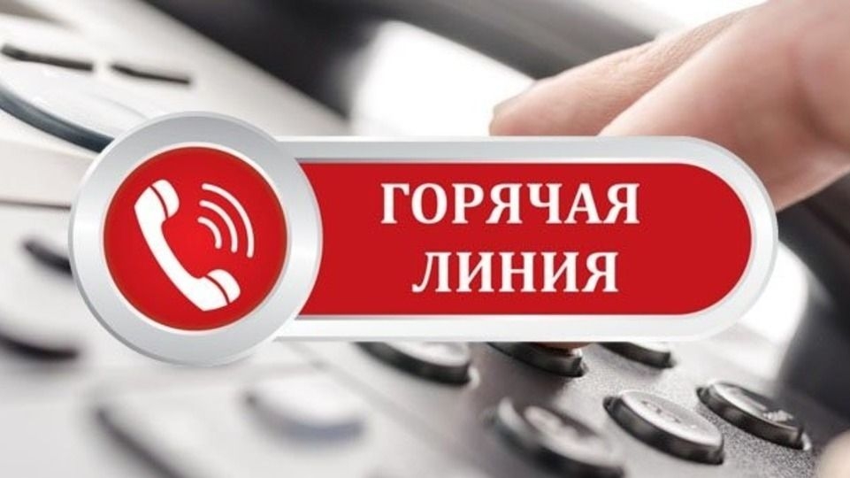 Могилевский облисполком 6 августа проведет горячую линию по вопросам подготовки детей в школу