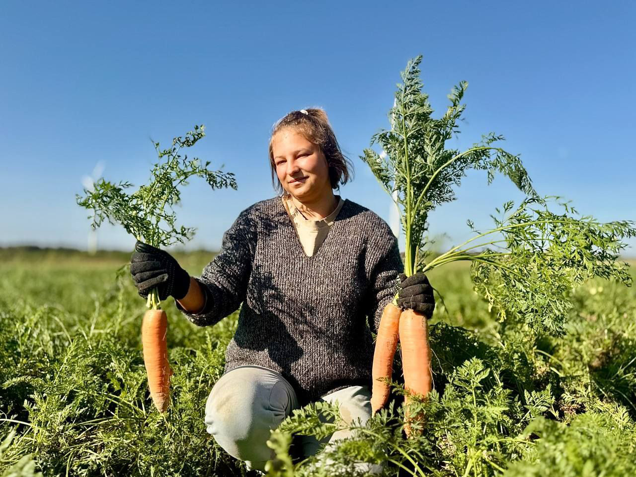 «Борщевой набор» убирают с полей ОАО «Фирма «Кадино»