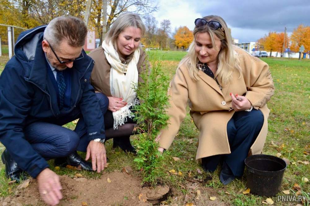Аллея Родительской любви появилась в агрогородке Романовичи