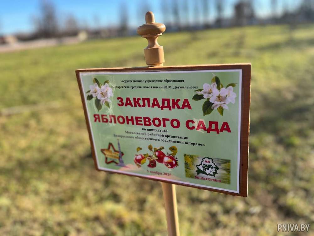 Яблоневый сад высадили на территории Сухаревской средней школы