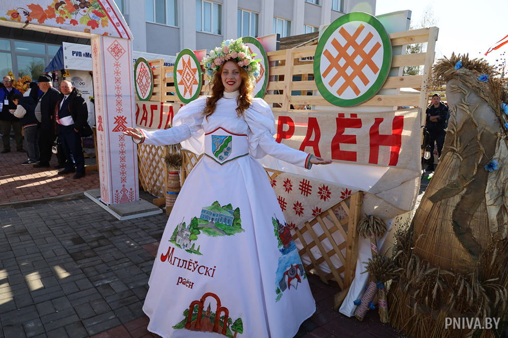 Фестиваль-ярмарка тружеников села «Дажынкi-2025» в Кричеве