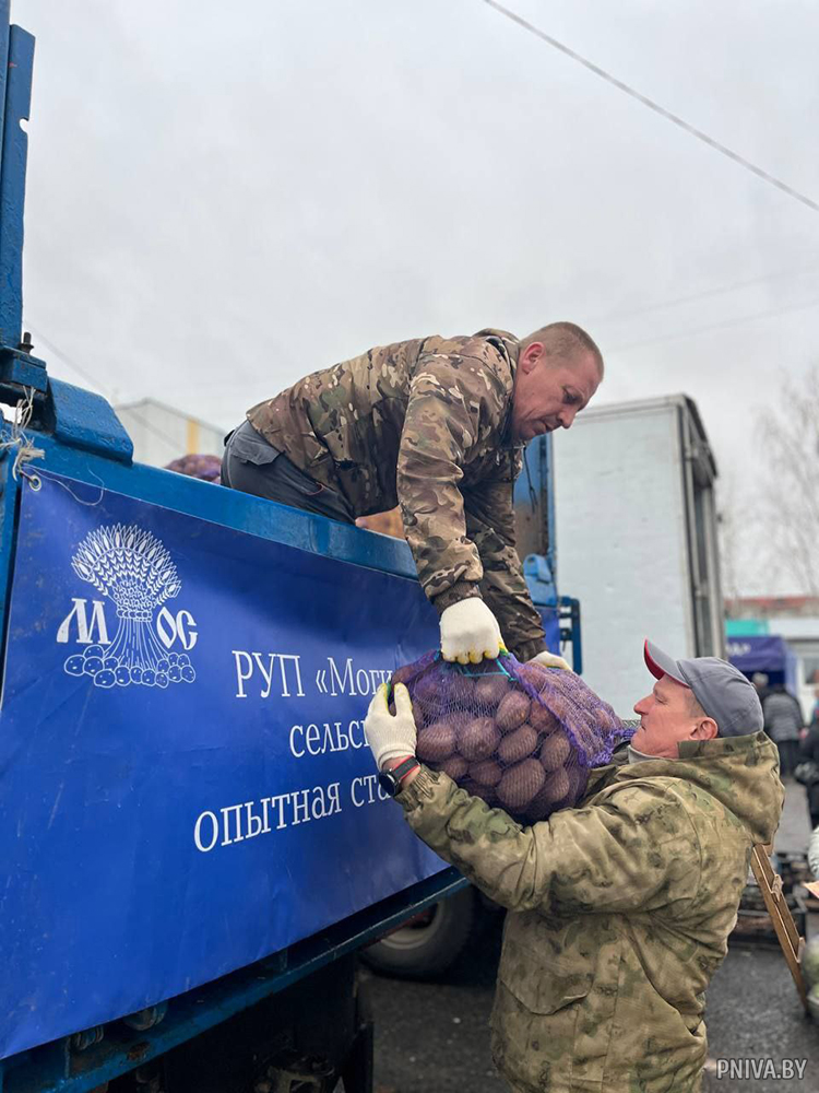 Сельскохозяйственная ярмарка в Буйничах
